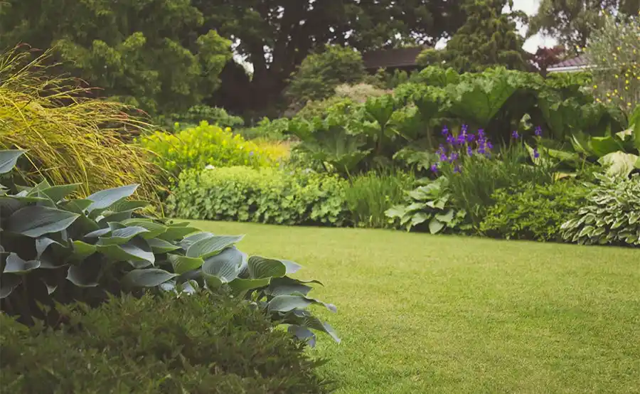 Tuintips voor de tweede week van juni