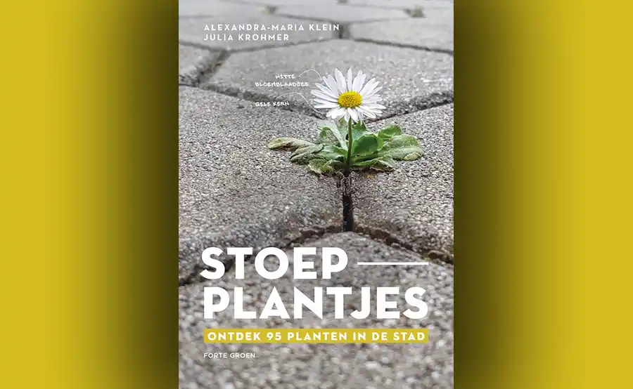 Boekentip: Stoepplantjes, Ontdek 95 planten in de stad