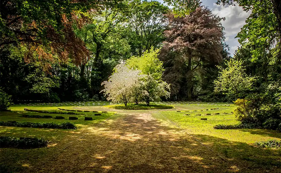 Boomverzorger Kristof Stadtfeld geeft tips & trends op Nationale Boomplantdag