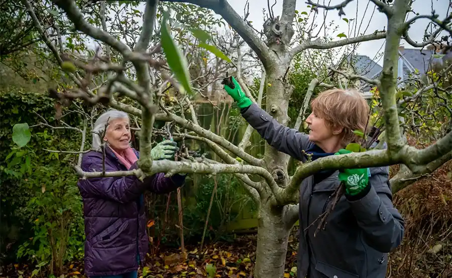 Essentiële tuintips voor eind oktober: maak je tuin winterklaar