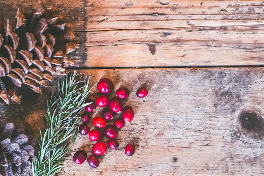 Tuintips voor tijdens de feestdagen