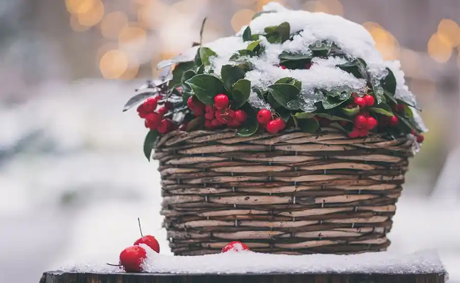 Sneeuw in de tuin, wat nu?