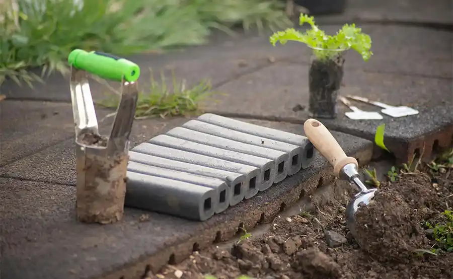 Tips voor het tuinonderhoud in maart: Wat kun je doen?