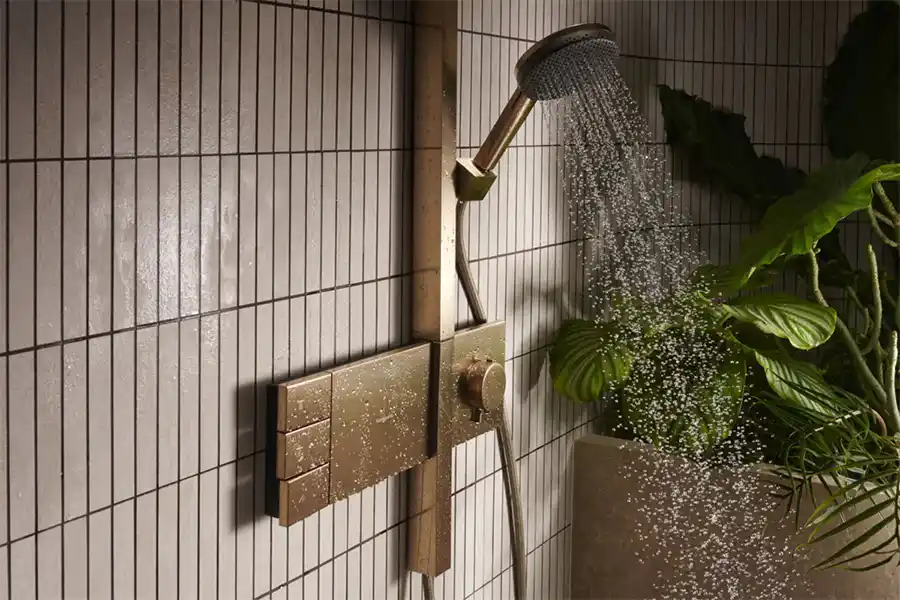 Hansgrohe - Raindance Alive