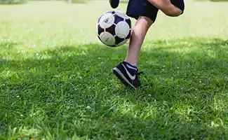 Tuintips voor een schadevrij gazon in de zomermaanden