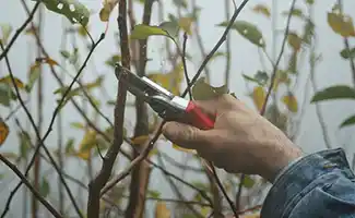 September is volgens experts dé maand om je tuin winterklaar te maken