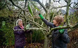 Essentiële tuintips voor eind oktober: maak je tuin winterklaar